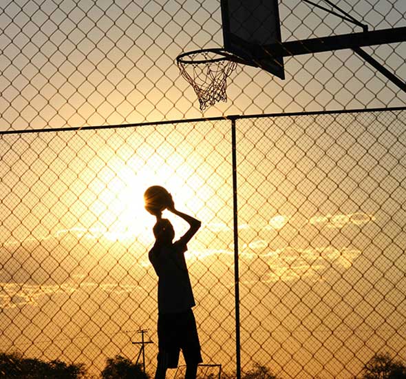 Fencing-&-Netting-Systems